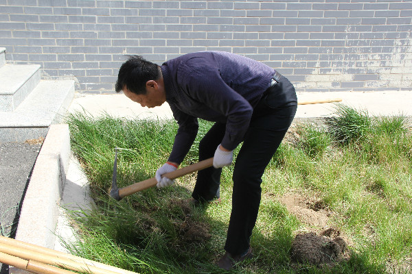 Beat365师生到贺阳国际中小学参加劳动