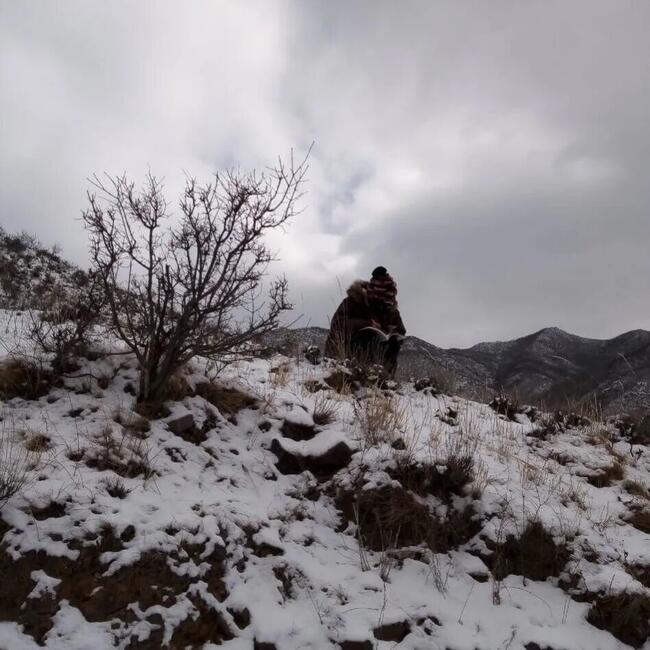 梅花香自苦寒来---Beat365杜鹃同学网课学习纪实