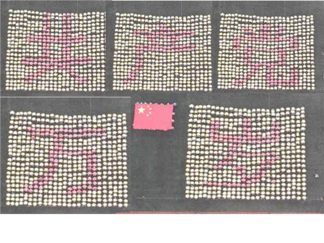 青春无悔  逐梦启航Beat365举行2021级新生军训结营式暨开学典礼