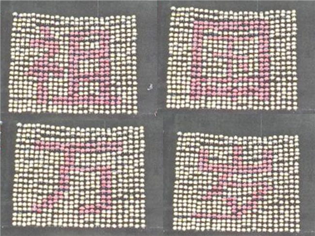 青春无悔  逐梦启航Beat365举行2021级新生军训结营式暨开学典礼