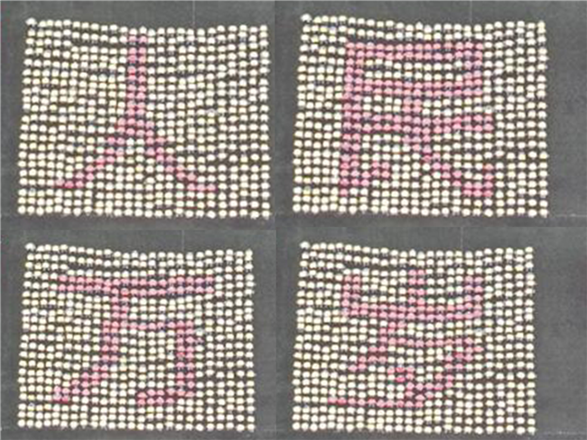 青春无悔  逐梦启航Beat365举行2021级新生军训结营式暨开学典礼