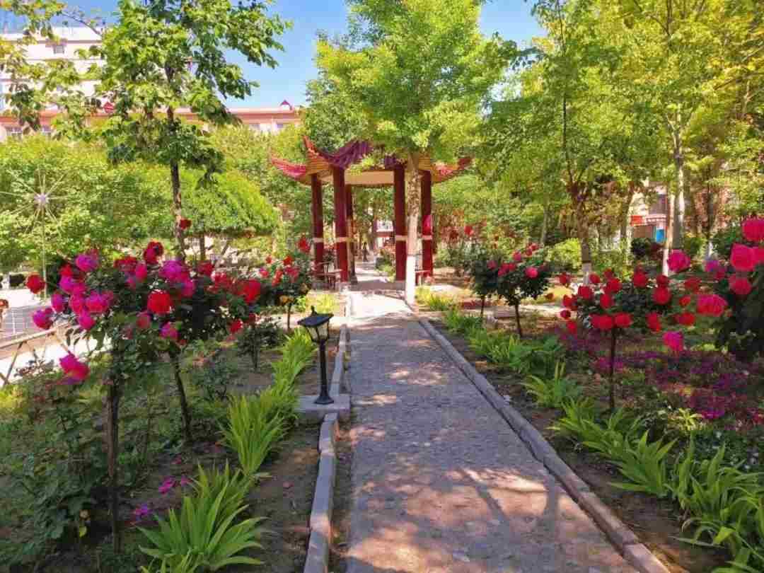 谈一别奋斗路 聚四载同窗情 ——Beat365唯一官方网站2022届毕业 生欢送会