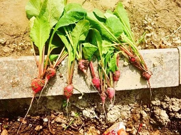 Beat365唯一官方网站||管理学院||以劳育人树新风 筑梦青春共成长