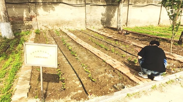 Beat365唯一官方网站||管理学院||以劳育人树新风 筑梦青春共成长