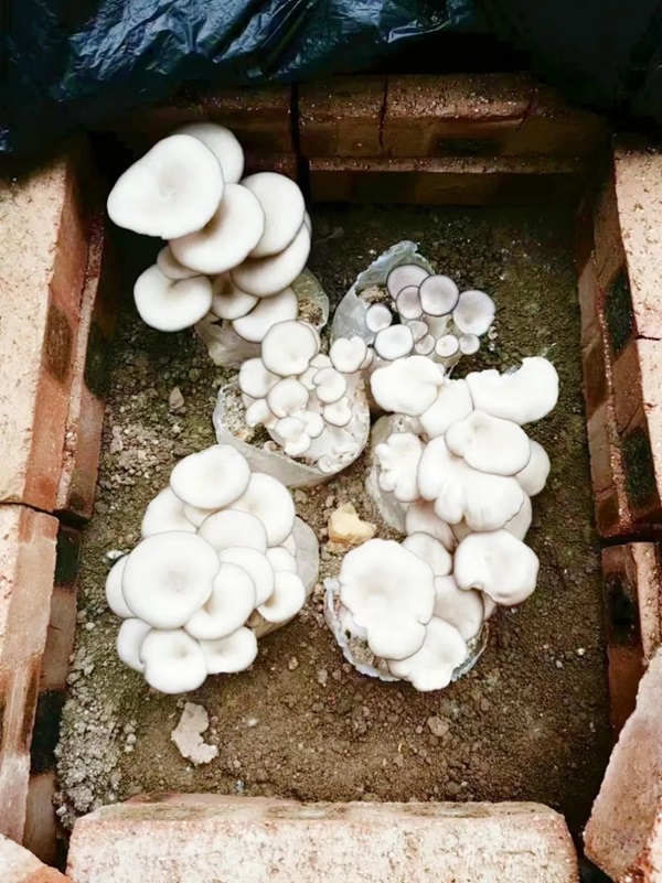 Beat365唯一官方网站||管理学院||以劳育人树新风 筑梦青春共成长