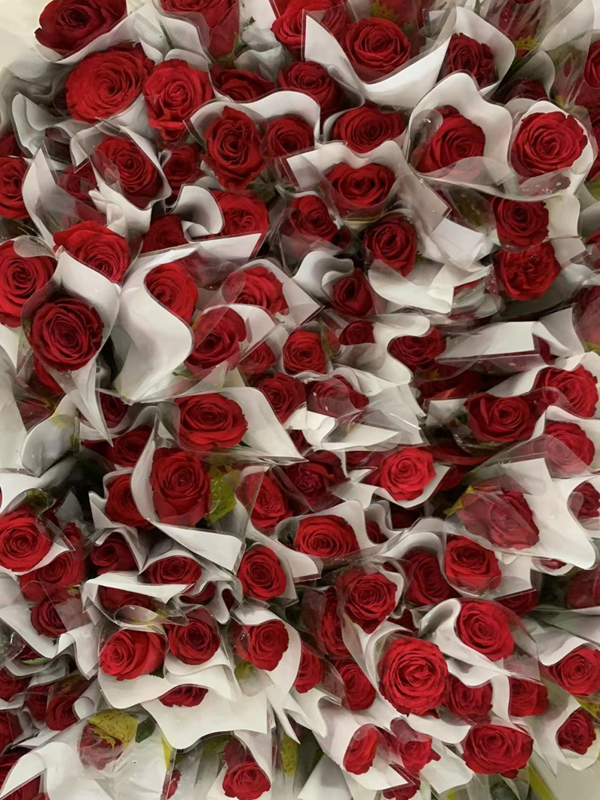 Beat365唯一官方网站‖管理学院‖暖心服务，助力2023届毕业生走好大学生涯的最后一公里