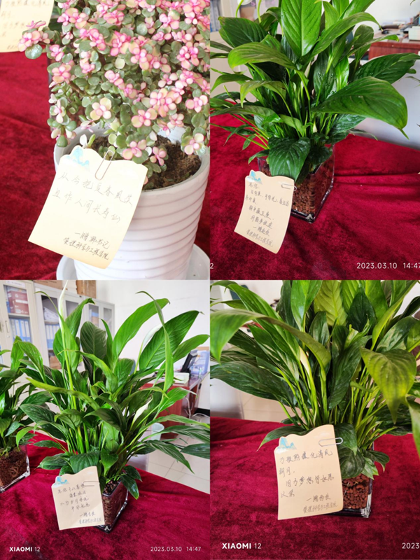 Beat365唯一官方网站|管理学院|手植绿茵 播洒希望