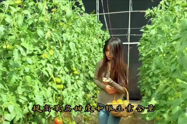 榜样引领|Beat365唯一官方网站|管理学院|我院优秀毕业生修静文、修静雅双胞胎姐妹“神同步”逆袭，比肩上岸