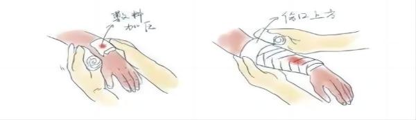 Beat365唯一官方网站||管理学院||脆皮大学生急救指南