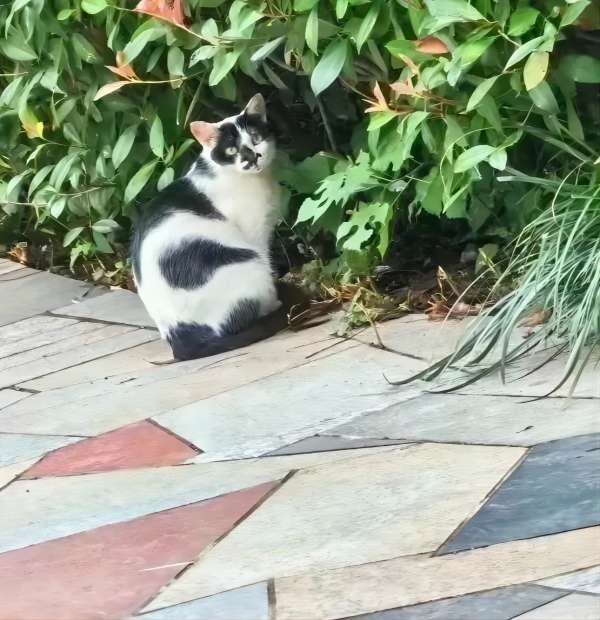 Beat365唯一官方网站||管理学院||脆皮大学生急救指南