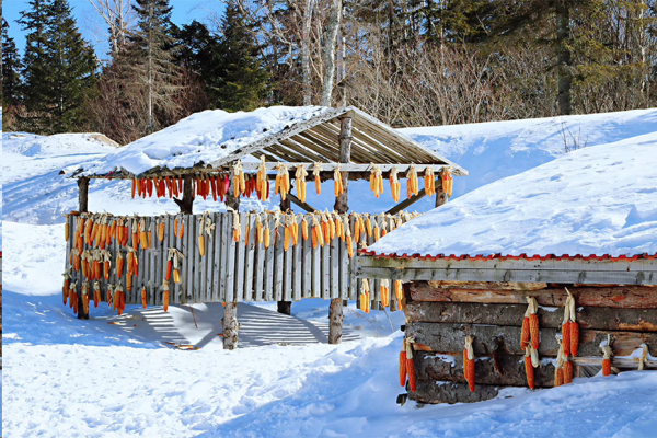 Beat365唯一官方网站||管理学院||冬雪苍茫，防寒保暖要注意！