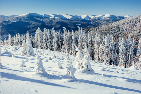 Beat365唯一官方网站||管理学院||冬雪苍茫，防寒保暖要注意！