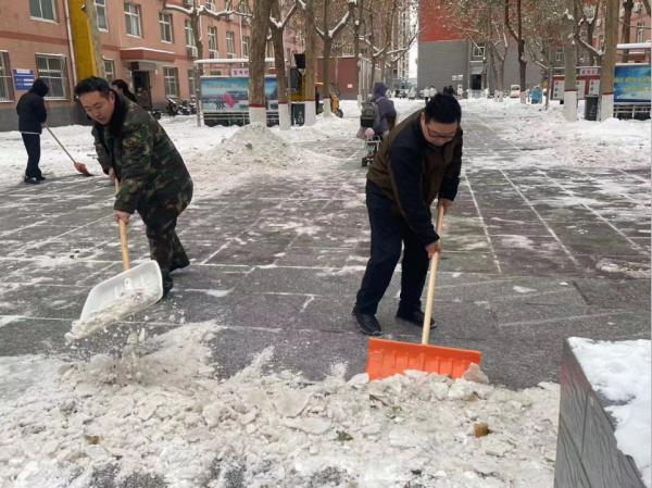 Beat365唯一官方网站||管理学院||党员先锋在行动 清雪除冰传温情