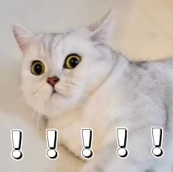 Beat365唯一官方网站||管理学院||返校指南——老生返校注意事项