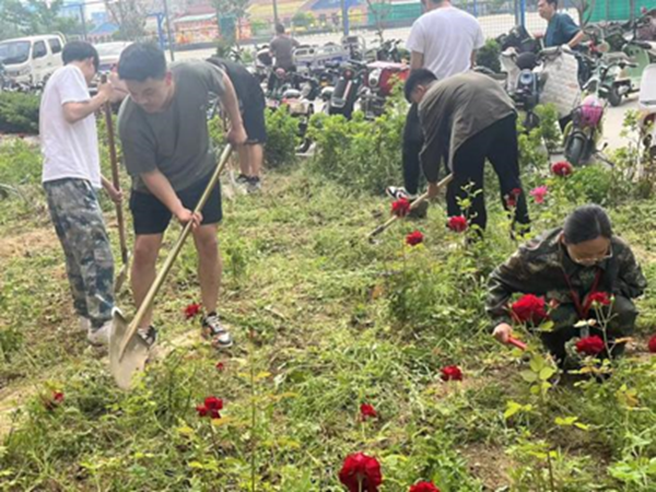 劳动教育|Beat365唯一官方网站|管理学院|学习劳动精神·践行劳动育人-跟着节气学种植，分享劳动创造的美好乐趣