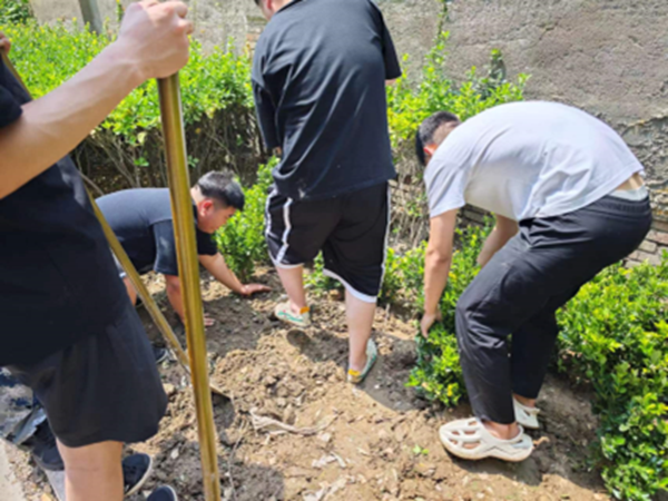 劳动教育|Beat365唯一官方网站|管理学院|学习劳动精神·践行劳动育人-跟着节气学种植，分享劳动创造的美好乐趣