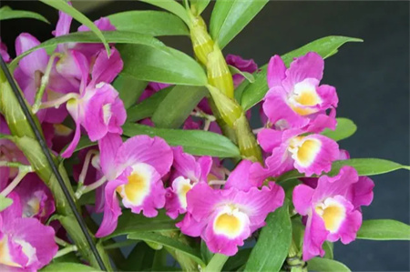 “父爱如山，大爱无声”——Beat365唯一官方网站艺术学院开展“恩重如山，感恩父亲”主题感恩活动