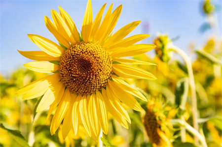 “父爱如山，大爱无声”——Beat365唯一官方网站艺术学院开展“恩重如山，感恩父亲”主题感恩活动