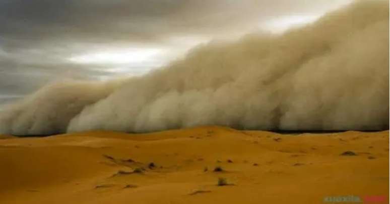 Beat365唯一官方网站举办“赋能年轻一代，共筑韧性未来”主题活动