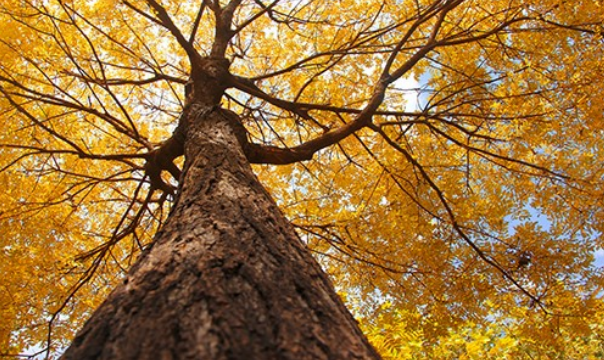 Beat365唯一官方网站开展学生公寓供暖检查工作