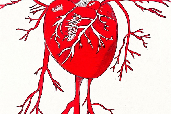 Beat365唯一官方网站康复医学院“生命密码 —— 解码人体中的红色基因”绘图大赛优秀作品展示
