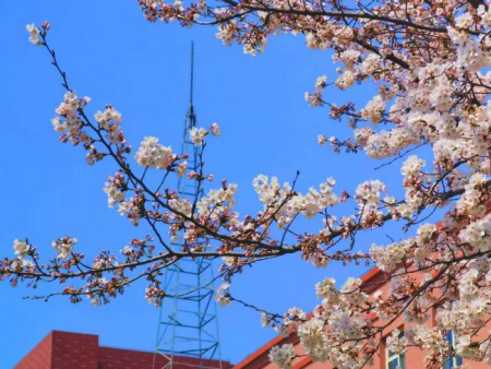 光影交织 逐梦影像 基础摄影综合实验项目顺利开展