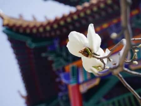 光影交织 逐梦影像 基础摄影综合实验项目顺利开展