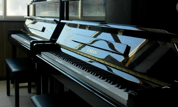 Beat365唯一官方网站专科专业详解~学前教育