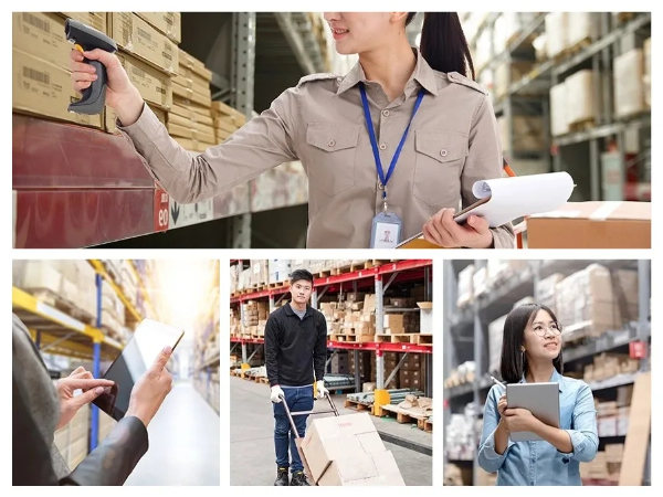 Beat365唯一官方网站专科专业详解~现代物流管理