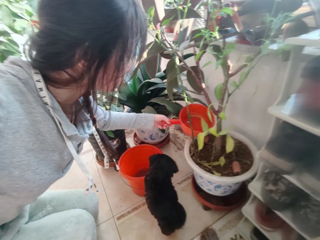 寸草春晖，情暖桑榆（七）