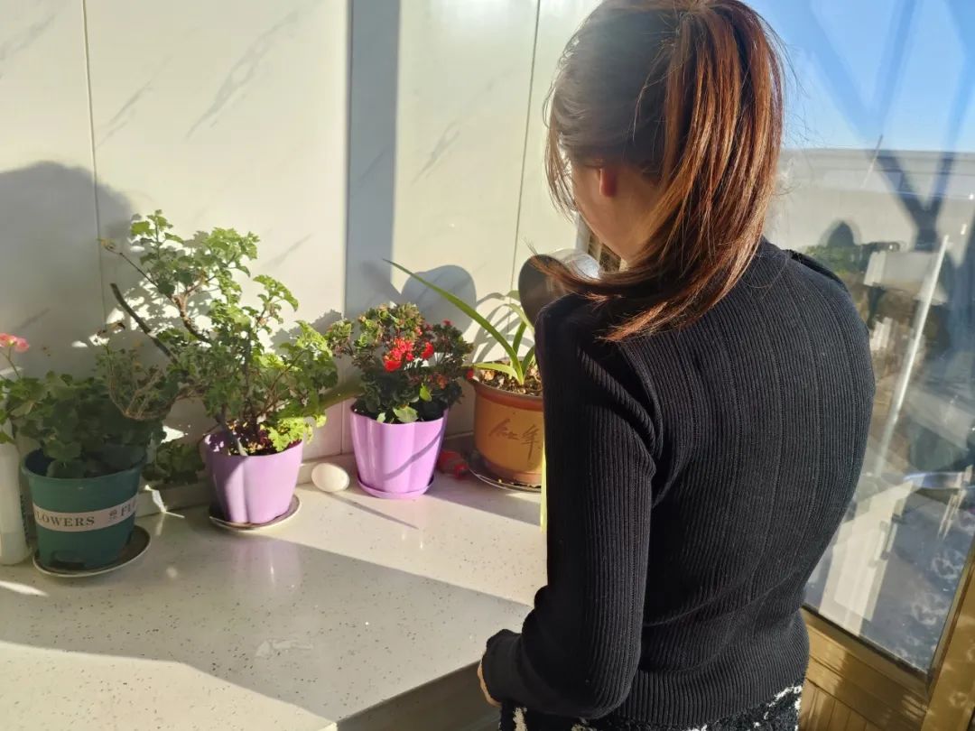 寸草春晖，情暖桑榆（六）