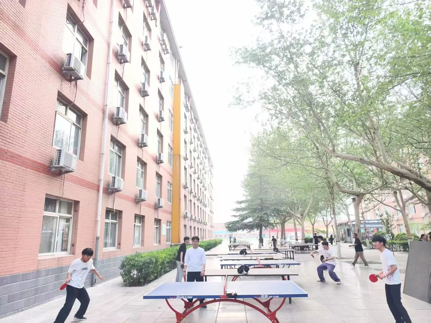 阳光体育展风采，活力校园向未来