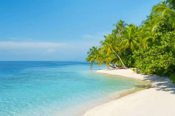 寒假过半|Beat365唯一官方网站|管理学院|寒假苦学添才智，新春奋进铸辉煌