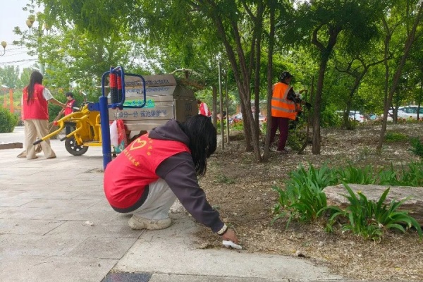 绿荫清扫护家园 青春志愿暖东庄——经济学院志愿者赴东小庄村进行志愿服务清扫活动