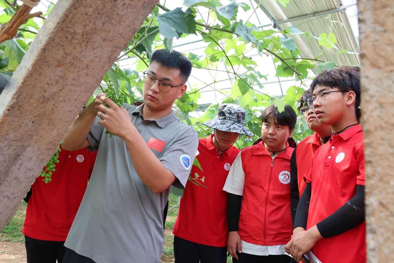 【青春聚力,实践砺行】劳动砺心智,实践育新人——经济学院走进盛尧都市生态农场,开展劳动教育实践活动