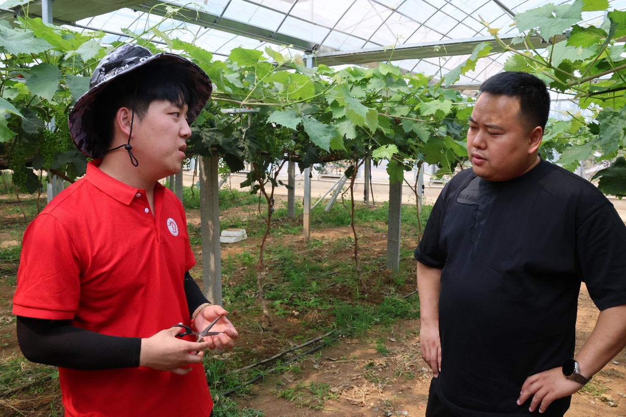 【青春聚力,实践砺行】劳动砺心智,实践育新人——经济学院走进盛尧都市生态农场,开展劳动教育实践活动