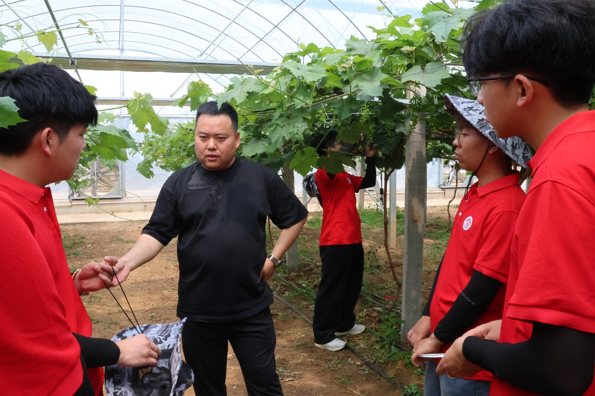 【青春聚力,实践砺行】劳动砺心智,实践育新人——经济学院走进盛尧都市生态农场,开展劳动教育实践活动