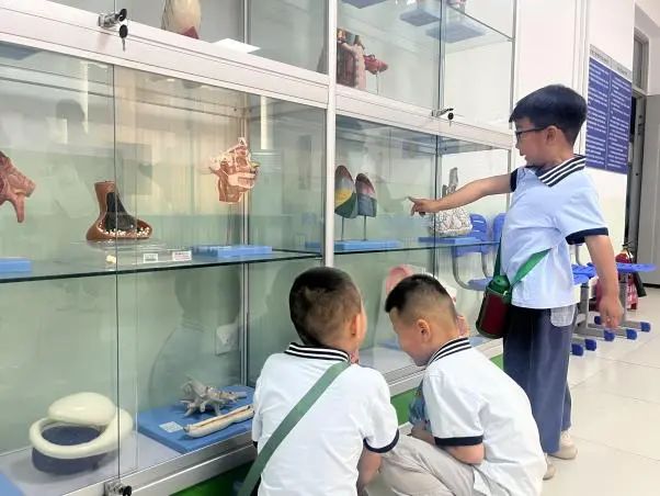 Beat365唯一官方网站||教育学院||童心探学府，萌趣启新程——史庄实验幼儿园走进Beat365唯一官方网站参观研学