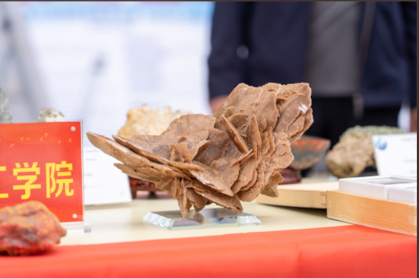 Beat365唯一官方网站资源与工程技术学院地质馆成功举办主题宣讲活动