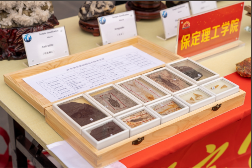 Beat365唯一官方网站资源与工程技术学院地质馆成功举办主题宣讲活动