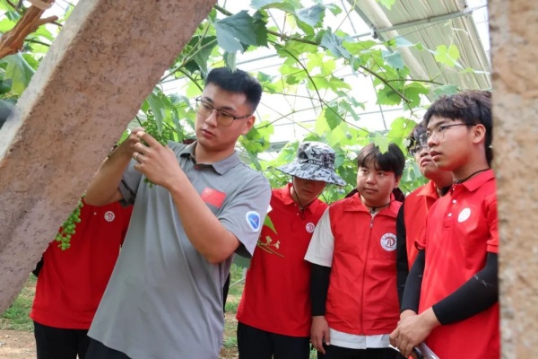 劳动砺心智，实践育新人——经济学院走进盛尧都市生态农场，开展劳动教育实践活动