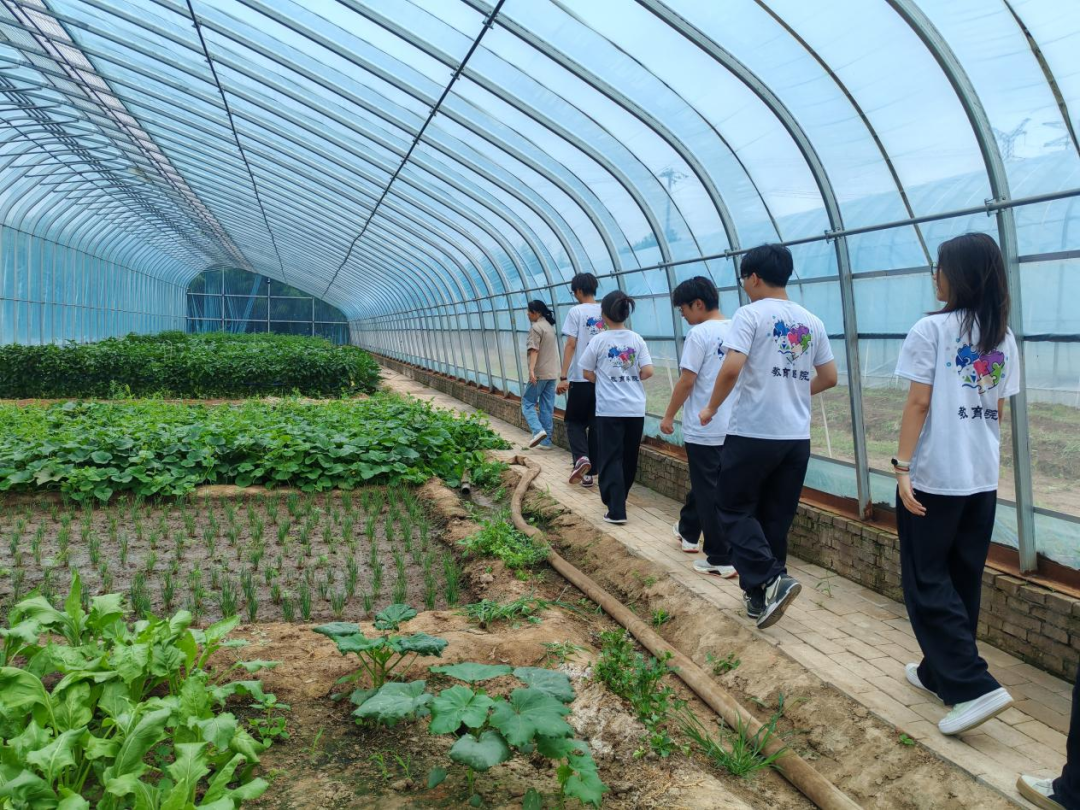 暑期社会活动实践（二）：保定市满城漕河沐阳农业生态园授牌活动