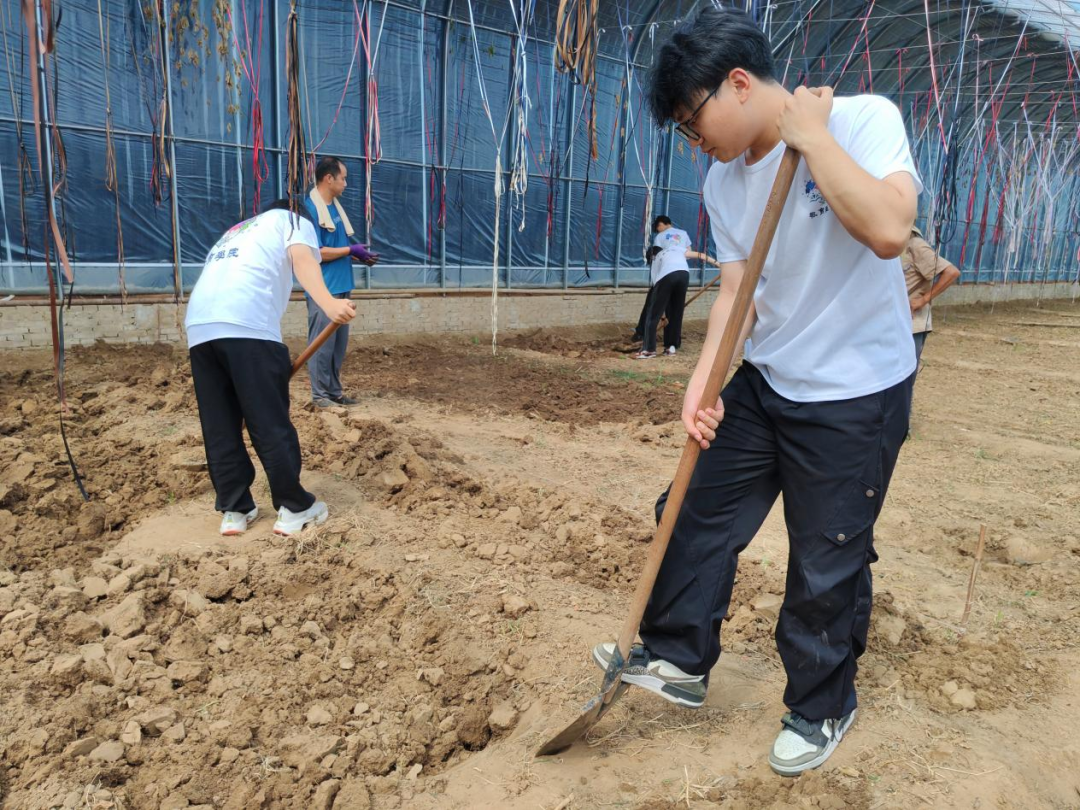 暑期社会活动实践（二）：保定市满城漕河沐阳农业生态园授牌活动