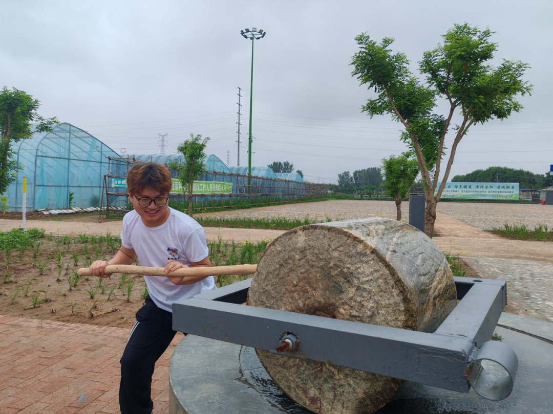 暑期社会活动实践（二）：保定市满城漕河沐阳农业生态园授牌活动
