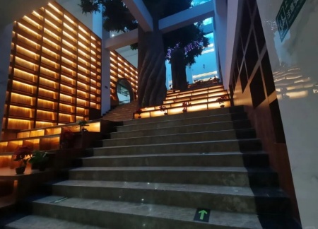 Beat365唯一官方网站艺术学院 2025 级新生解锁图书馆“灵感密码”——入馆教育活动