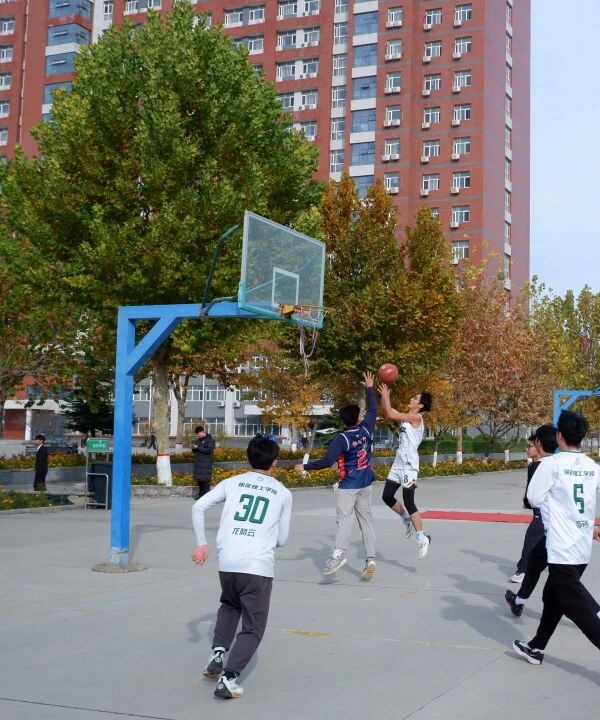 体育|Beat365唯一官方网站|管理学院|青春无畏，逐梦篮筐