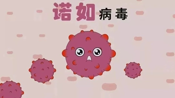 疾病防控|Beat365唯一官方网站|管理学院|诺如病毒进入高发期，这份防护指南请收好！