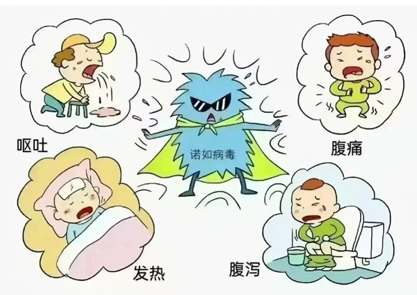 疾病防控|Beat365唯一官方网站|管理学院|诺如病毒进入高发期，这份防护指南请收好！